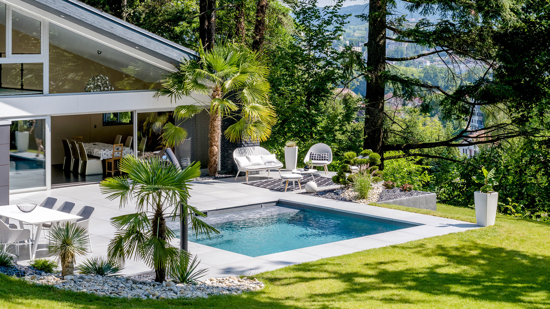 piscine jardin palmiers