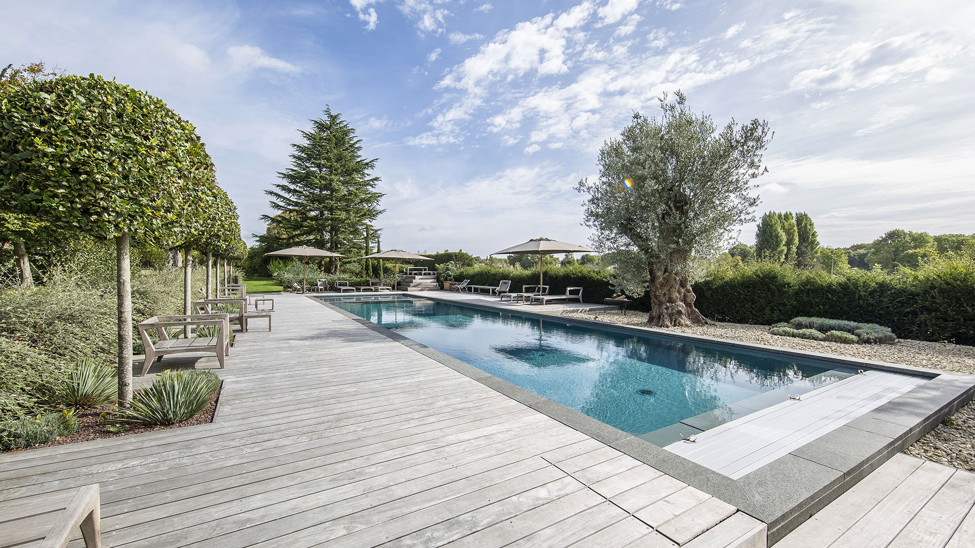 piscine arbre