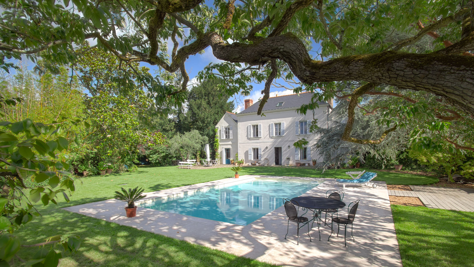 piscine espace pelouse