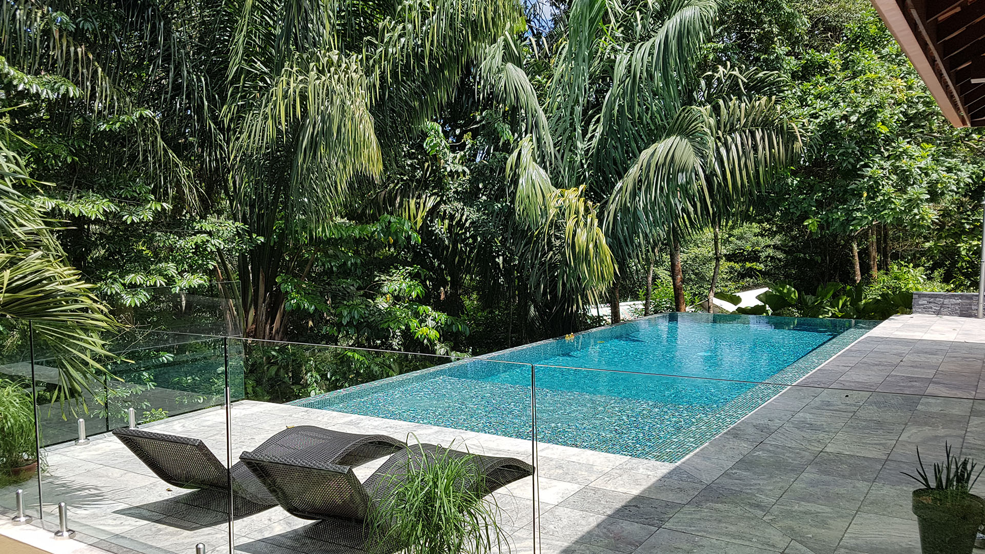 piscine à débordement palmiers