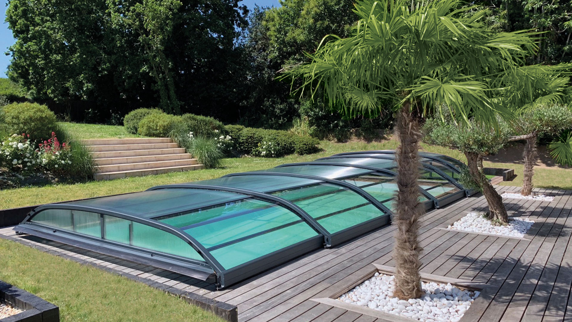 piscine dome palmier