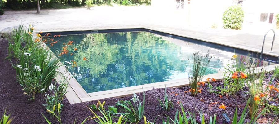 piscine-paysagee-PatrickLemairePaysage