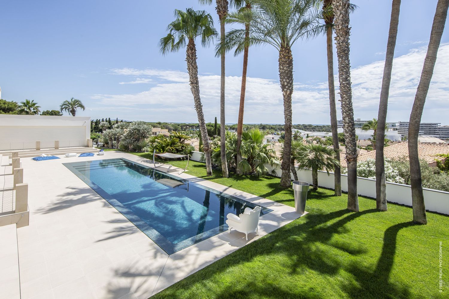 piscine de luxe palmiers